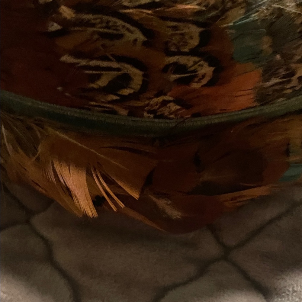 Feather Hat - Picture 12 of 15